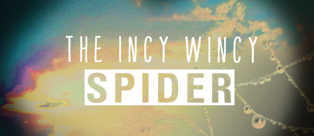 The Incy Wincy Spider