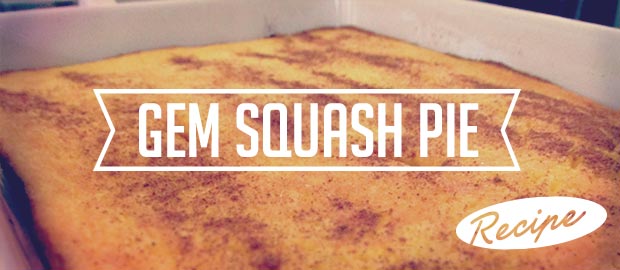 AAA Kitchen Recipes: Gem Squash (Pumpkin) Pie