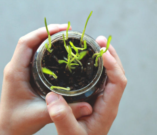 Grow Forth And Be Awesome