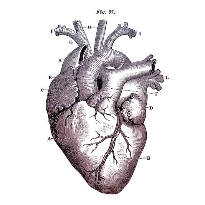 HeartDay