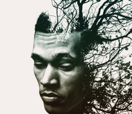 Review: Trip Lee – “Rise”