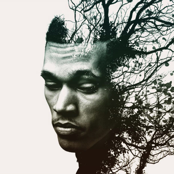 TripLee