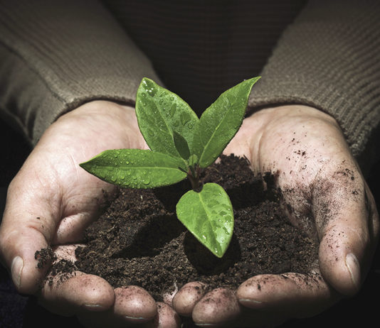 Peshawar School Massacre