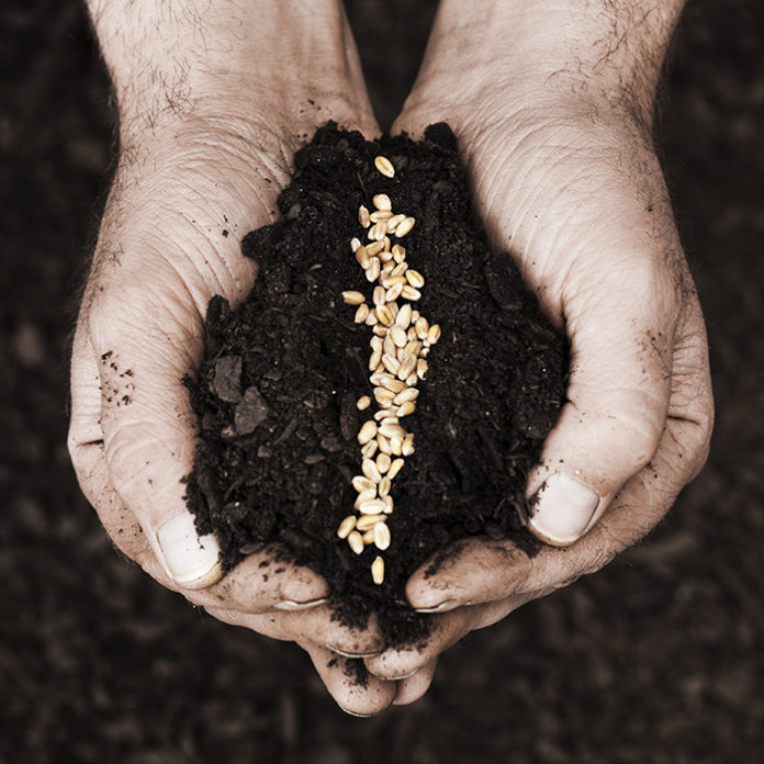 Sowing