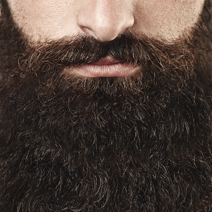 Closeup portrait of long beard and mustache man