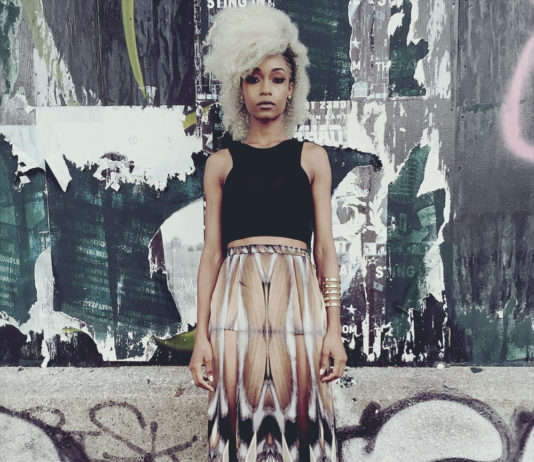 Afro Punk Festival 2015