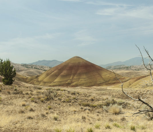 The Hills Tell A Story