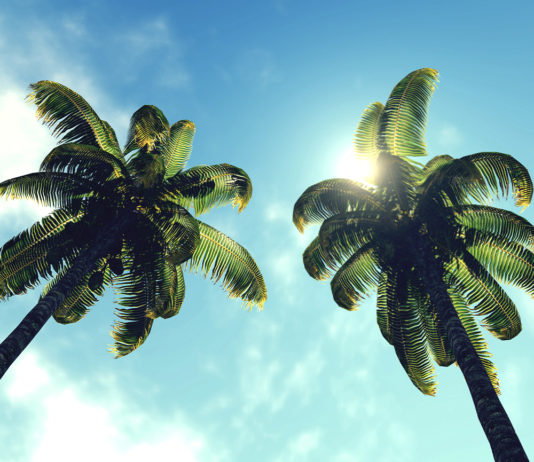 When’s the Last Time You Looked Up?