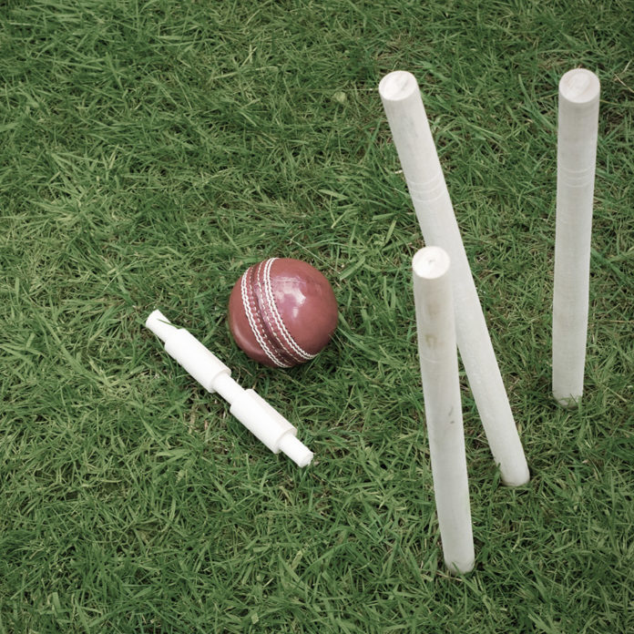 Cricket cricket