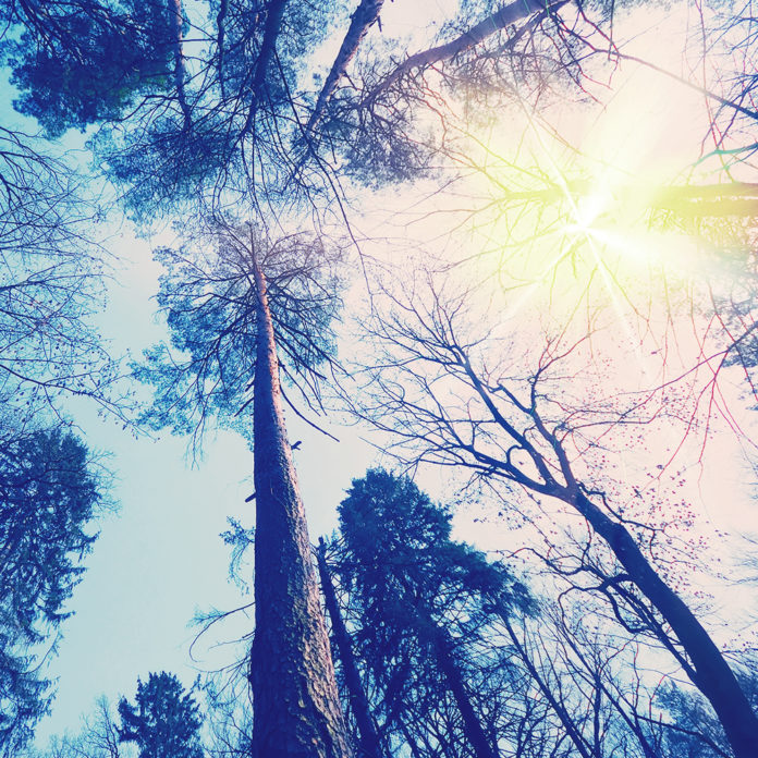light