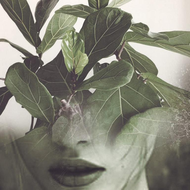 Style your home: Plants