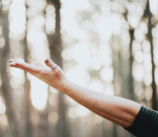 Making sense of the nonsense – Goodbye 2016