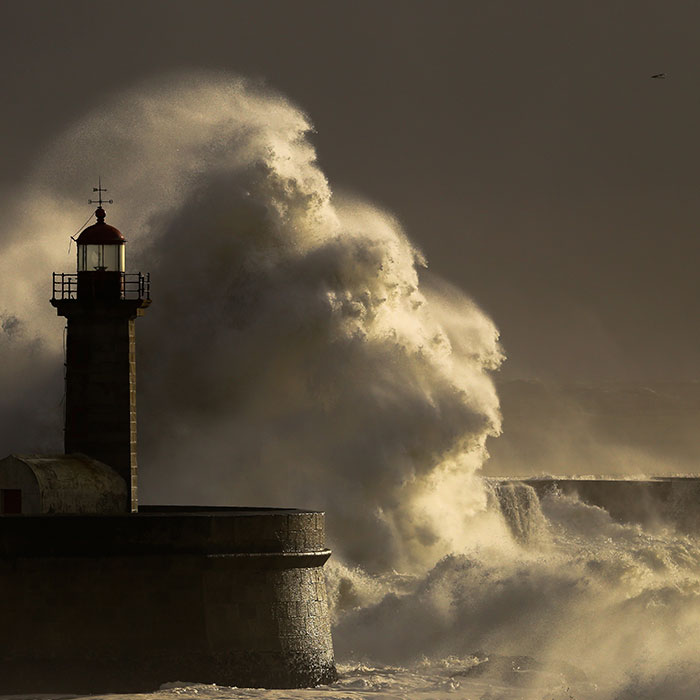 Trust God through the storm.