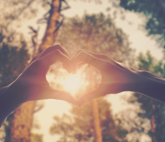 Being in love with the idea of love