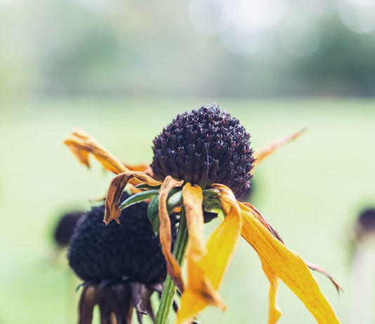 The benefits of brokenness