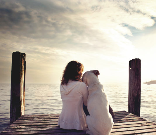 Before You Get A Dog – Things To Consider