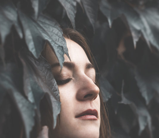 Where dreams go to die…